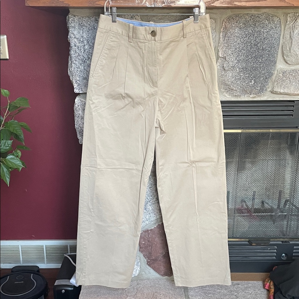 Aritzia Chino Hi Pleated Pants